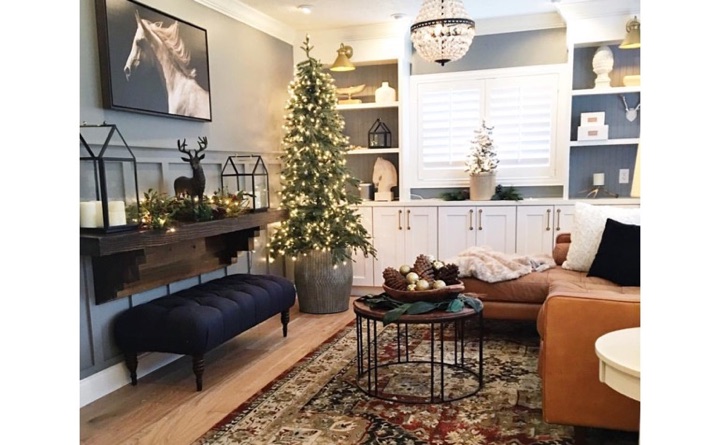 Living room with built-in shelving and shutters.